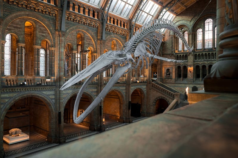 Exhibitions